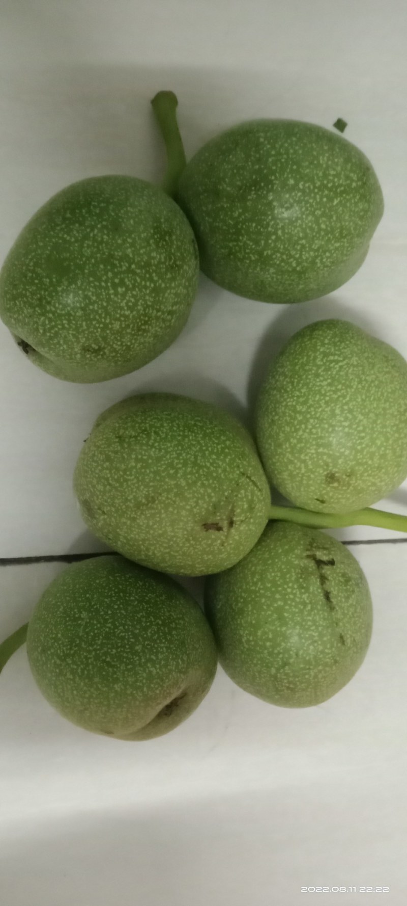 青皮核桃手摘果西伕，中林，清香，大量供货，有需要提前联糸