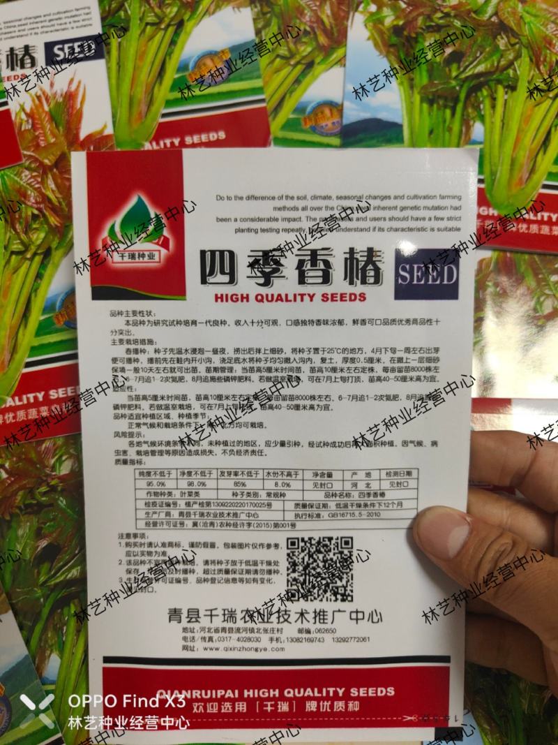 四季红油香椿种子芽苗菜香椿树种子四季播种包发芽新种