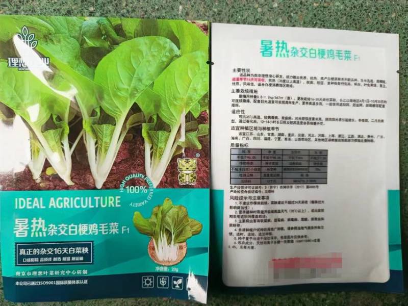 明生种业暑热杂交白梗鸡毛菜种子种籽16天速生