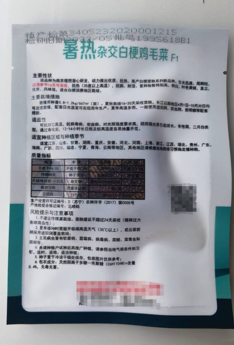 明生种业暑热杂交白梗鸡毛菜种子种籽16天速生