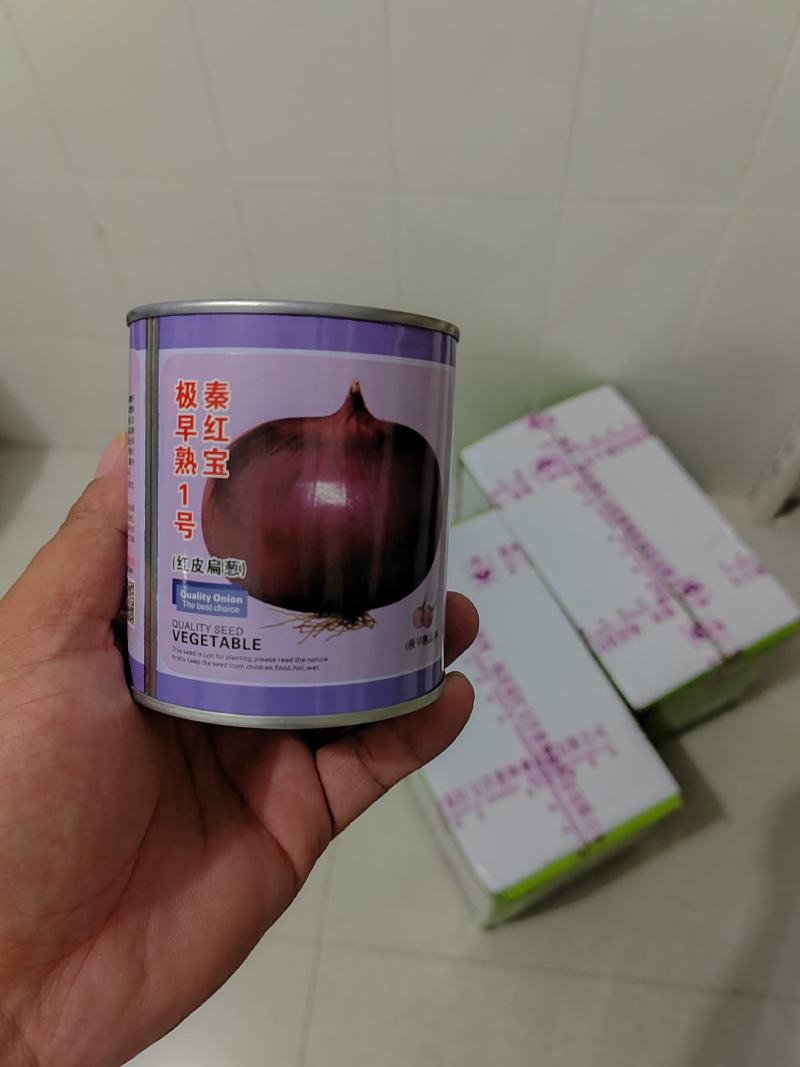 秦红宝，杨星开始供应