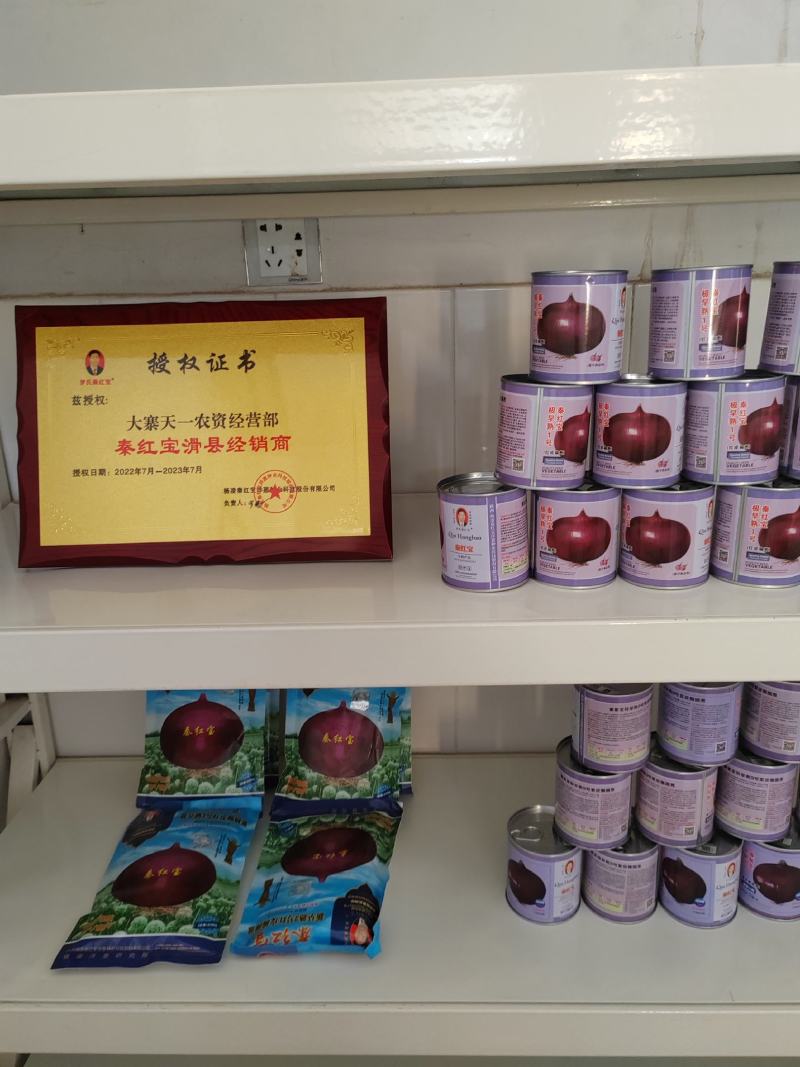 秦红宝，杨星开始供应