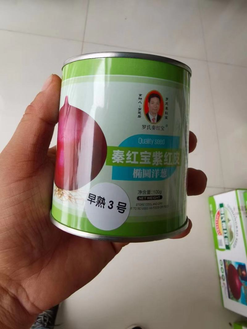 秦红宝，杨星开始供应
