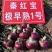 秦红宝，杨星开始供应