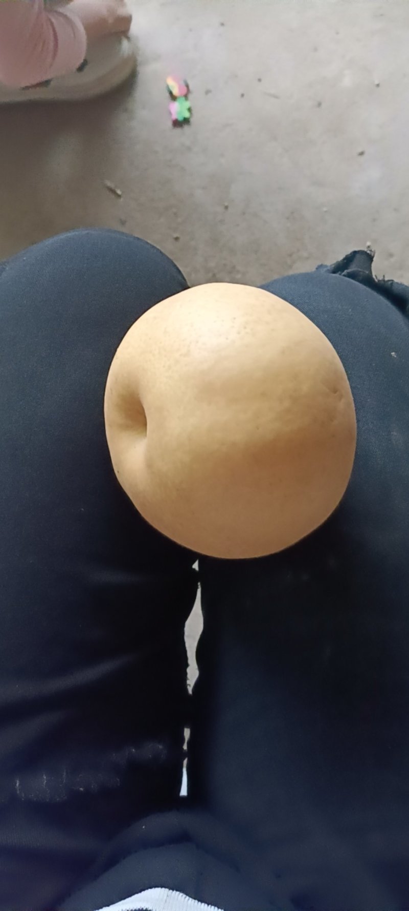 晚秋金黄梨