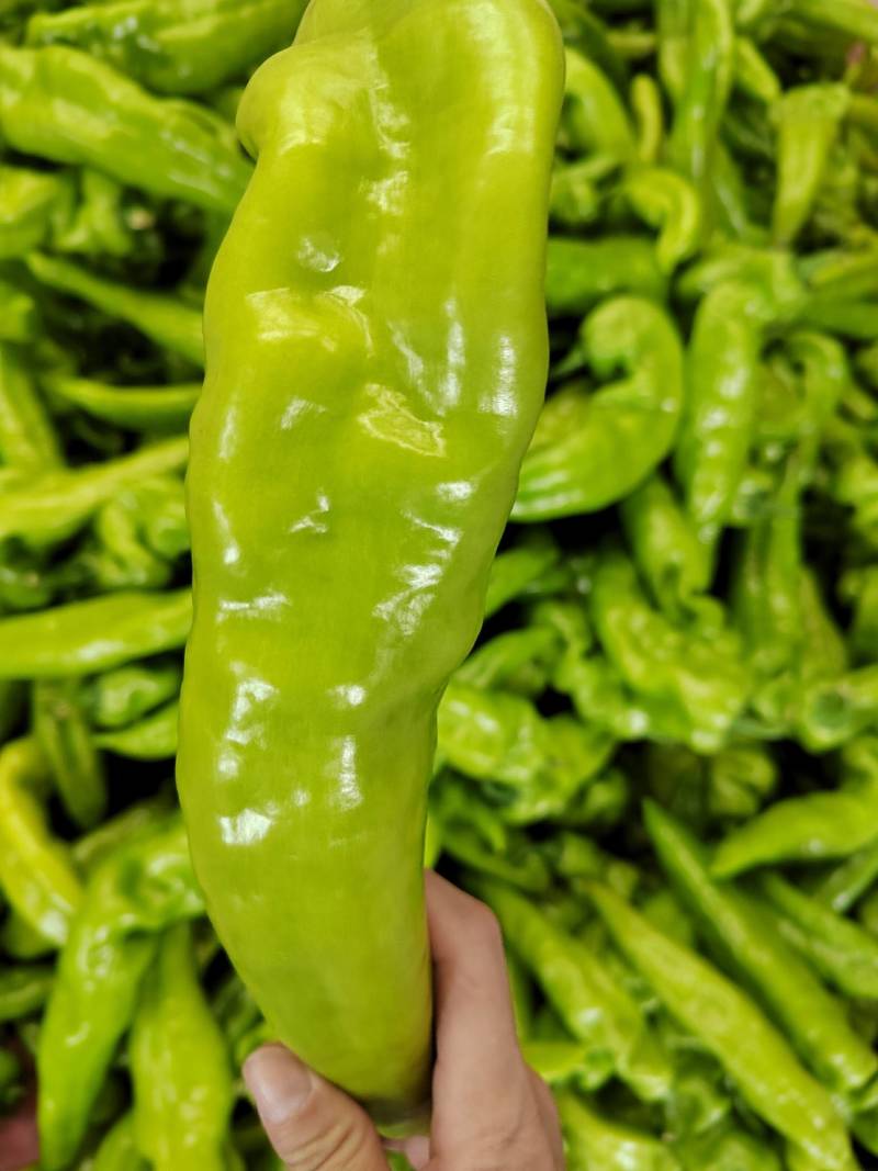 尖椒，太空椒，螺丝椒，线椒