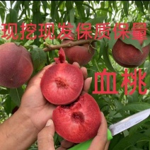 血桃树苗，春雨血桃1号，果肉鲜红色，7月上中旬成熟，离核