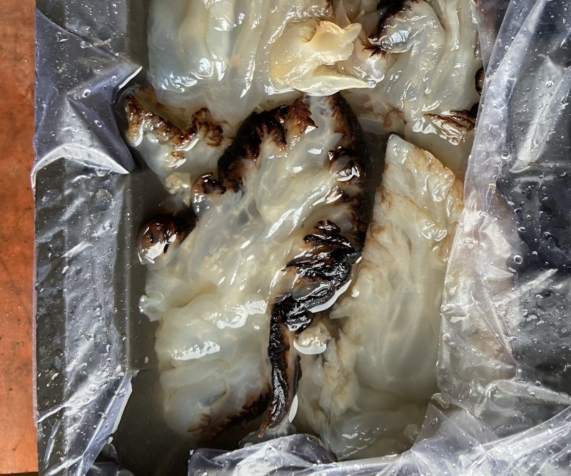 沙哲头，海蜇头，酒店市场供应，无限量，电商饭店