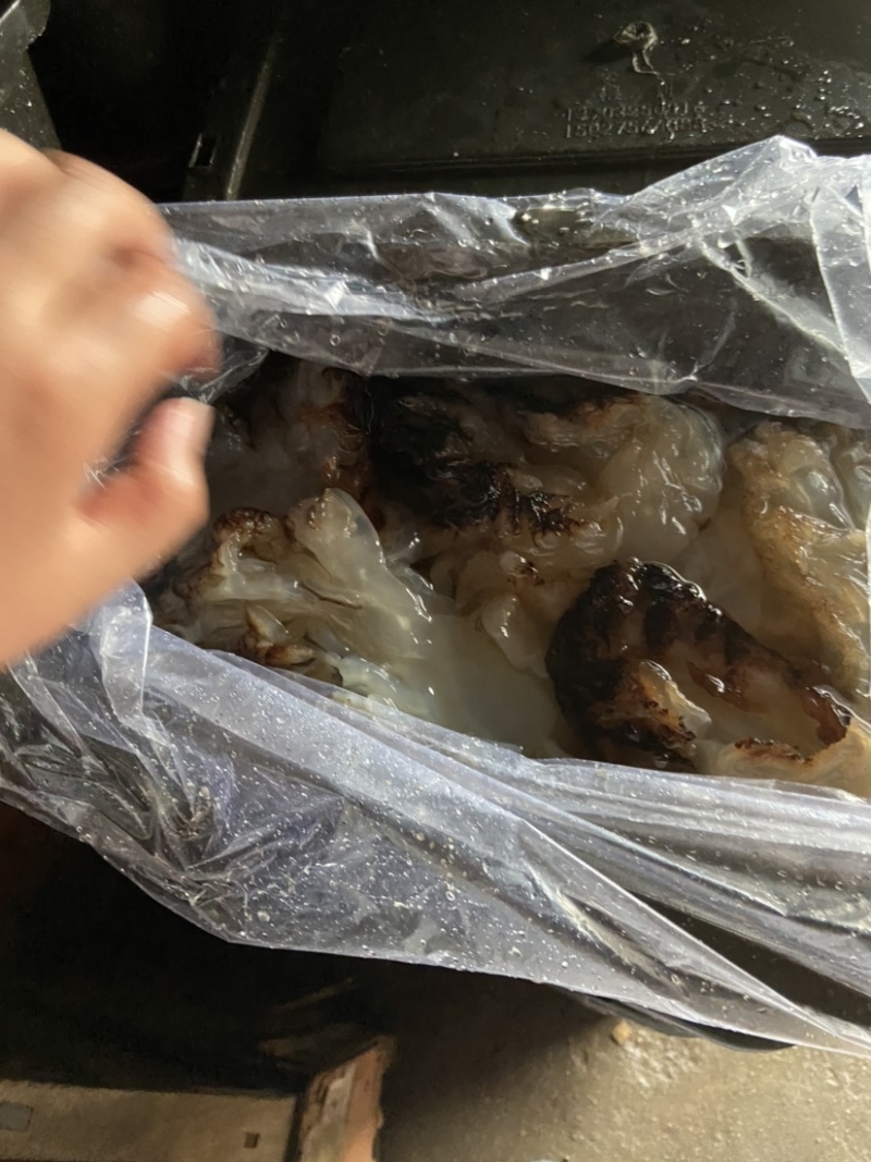 沙哲头，海蜇头，酒店市场供应，无限量，电商饭店