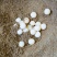 36/54/100个甲鱼蛋宝宝辅食新鲜可食用老鳖蛋现挖现