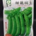 甜脆肉豌豆种子吃壳厚肉豌豆菜豆荷兰豆种籽春秋季播阳台大田