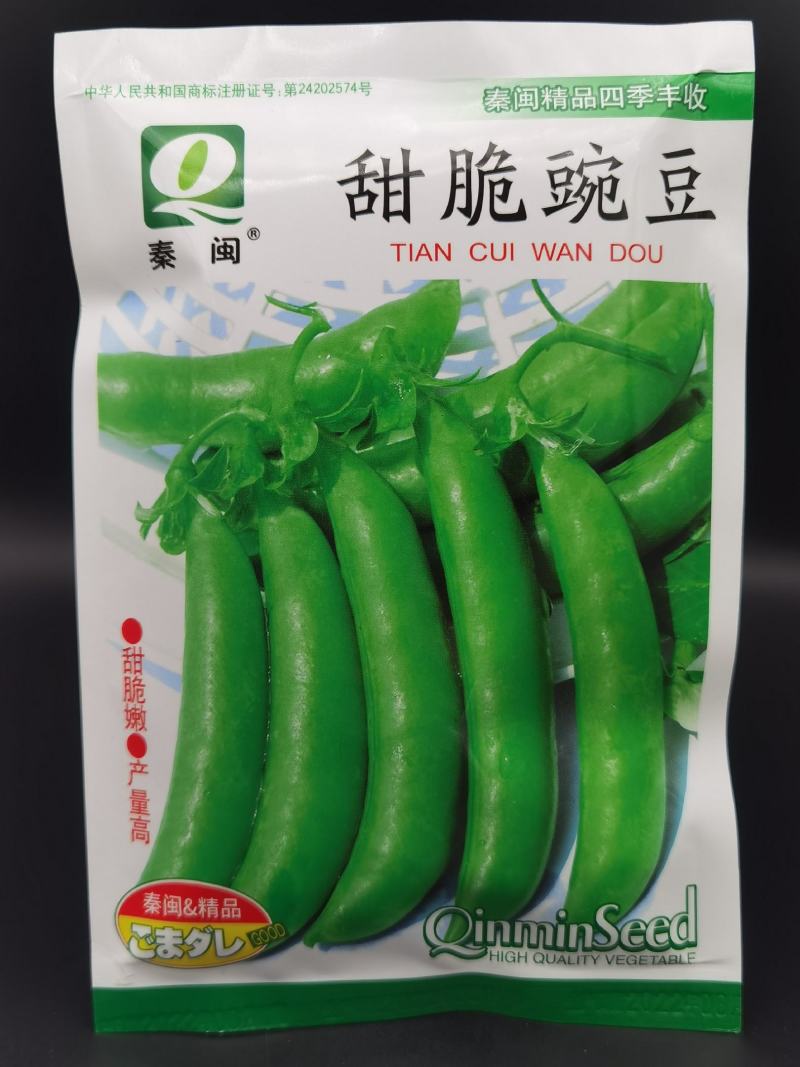 甜脆肉豌豆种子吃壳厚肉豌豆菜豆荷兰豆种籽春秋季播阳台大田