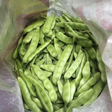 豆角