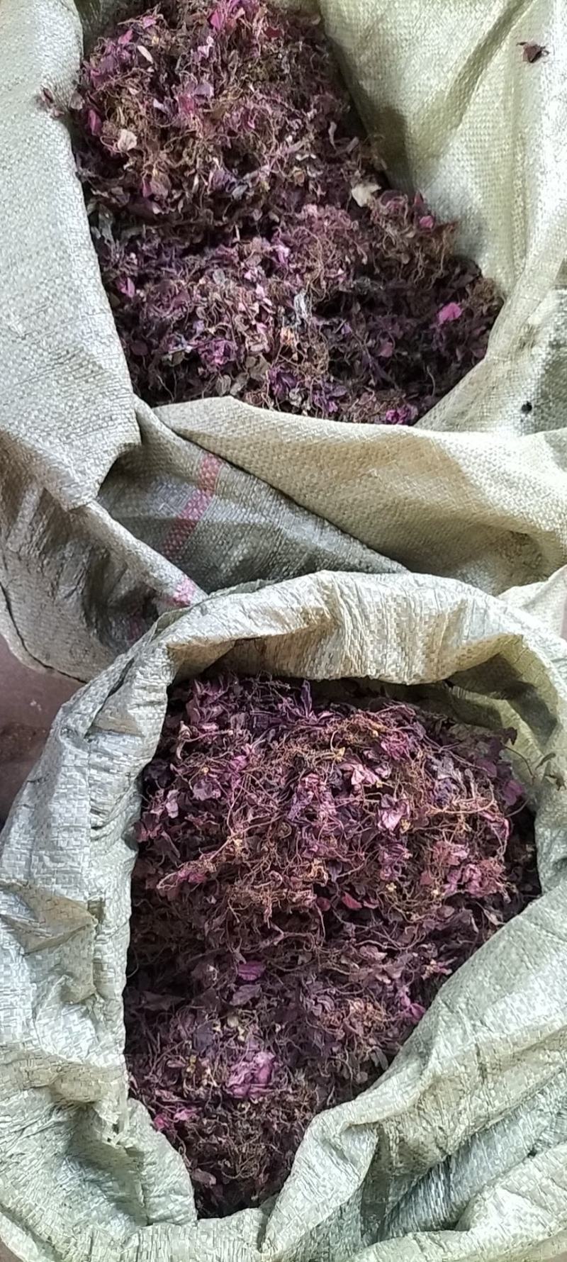 风柜斗草全红色的