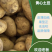甘肃定西冀张署大量批发.陇十正在出售产地批发