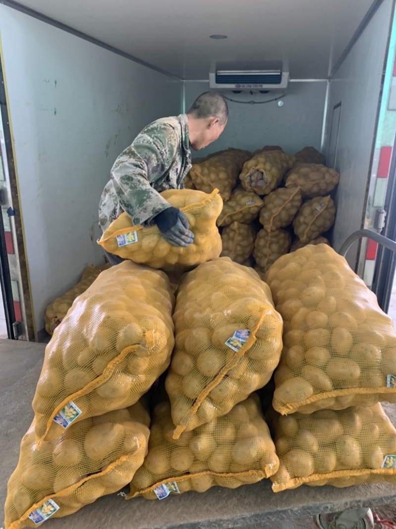 甘肃定西冀张署大量批发.陇十正在出售产地批发