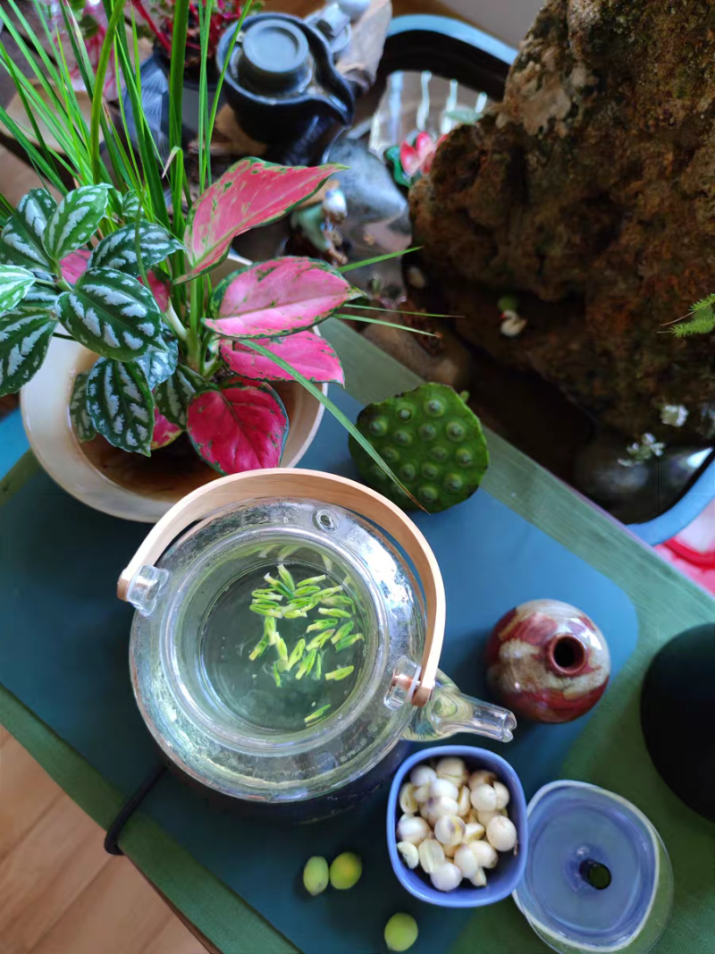 莲蓬，新鲜水果莲蓬，新鲜莲子，煮粥