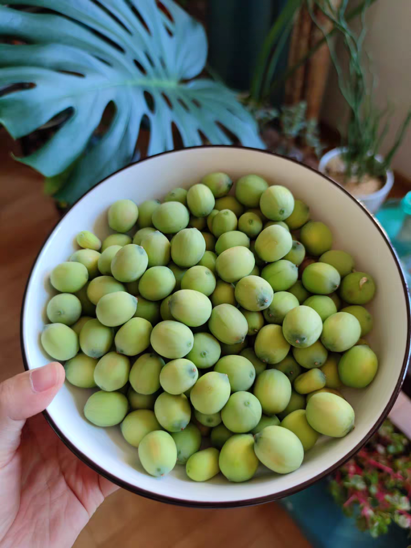 莲蓬，新鲜水果莲蓬，新鲜莲子，煮粥