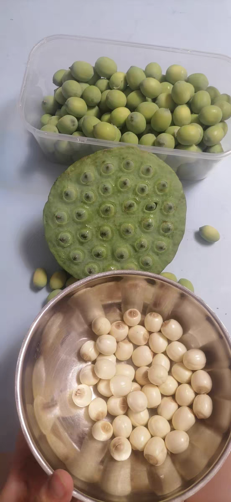莲蓬，新鲜水果莲蓬，新鲜莲子，煮粥