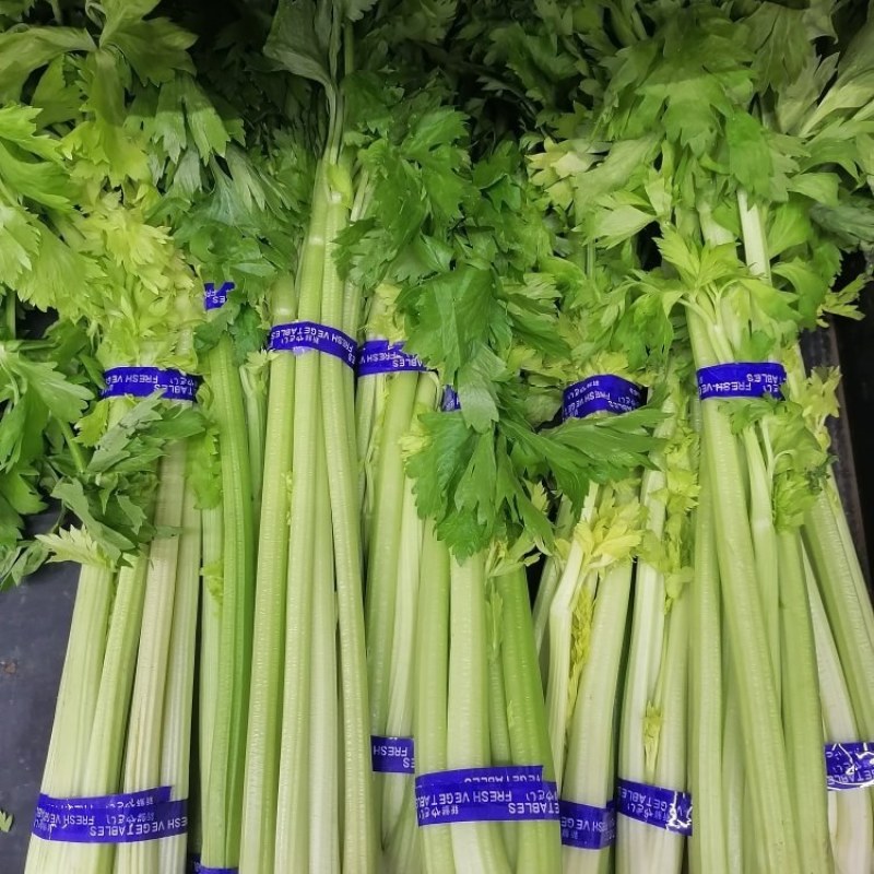 商河暖棚芹菜