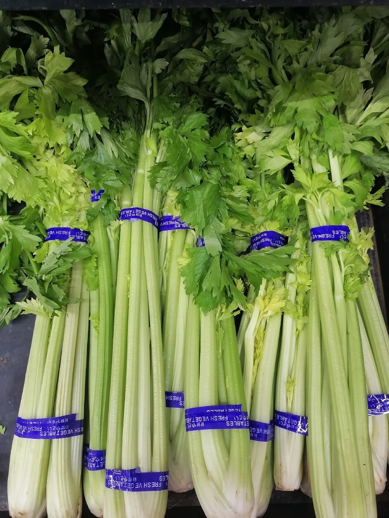 商河暖棚芹菜
