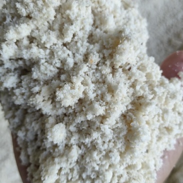 豆制品下脚料生豆渣.豆腐渣饲料含蛋白高易吸收降低饲养成本