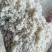 豆制品下脚料生豆渣.豆腐渣饲料含蛋白高易吸收降低饲养成本