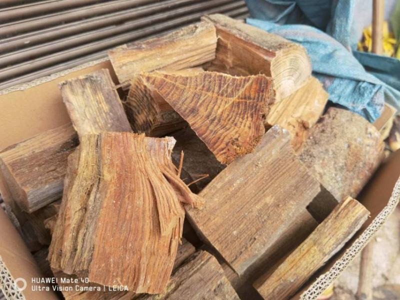 户外烧烤用具火柴点燃固体燃料块木炭引火松明子生火野外点火