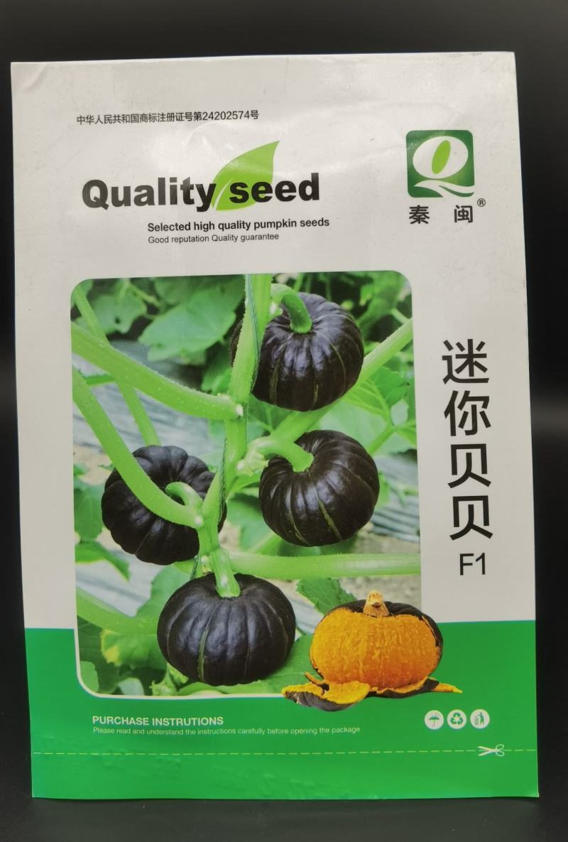 贝贝南瓜种子四季高产香甜糯板栗味绿贝贝小南瓜种子蔬菜种子