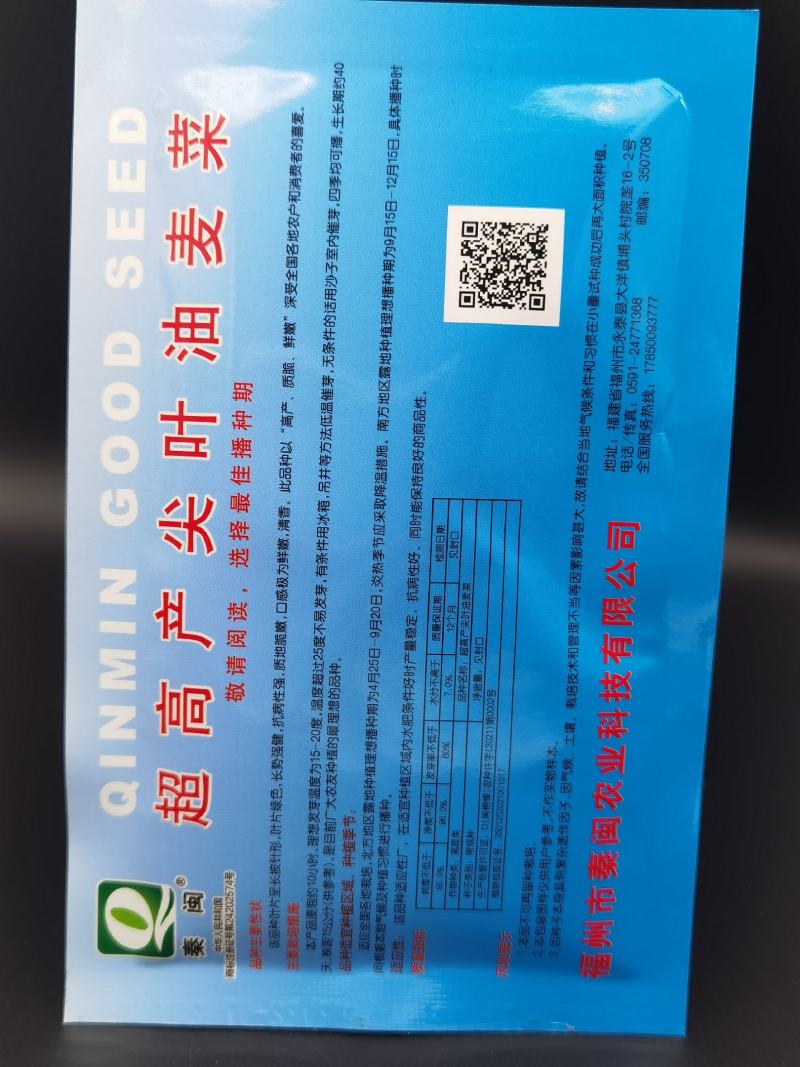 四季油麦菜种子耐热寒鲜嫩清香庭院盆栽四季春季秋冬夏蔬菜子