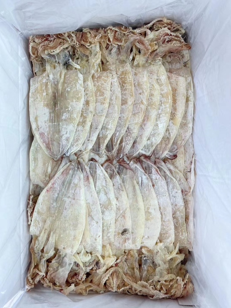 鱿鱼干，墨鱼干，虾皮