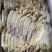 鱿鱼干，墨鱼干，虾皮