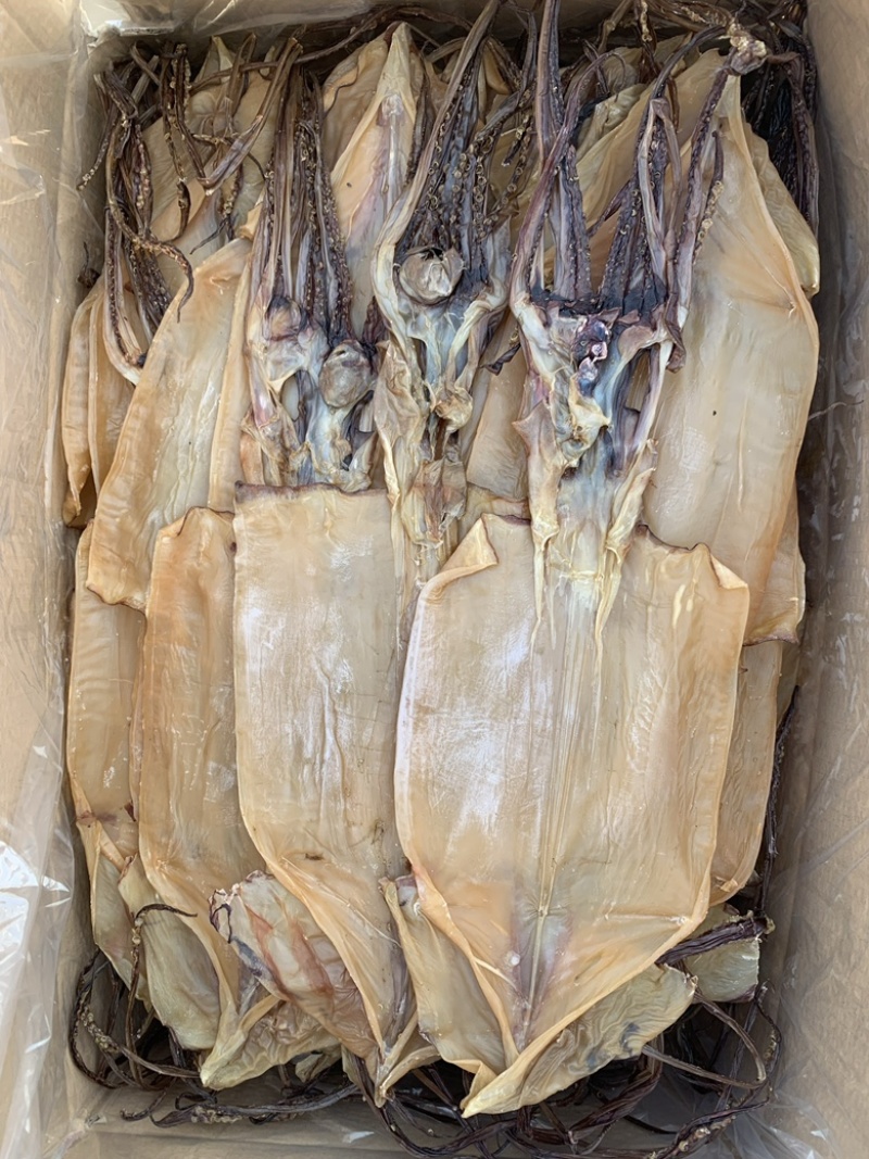 鱿鱼干，墨鱼干，虾皮