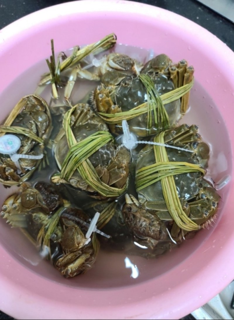 江苏河蟹，大闸蟹火爆上市，兴化蟹塘直发，全国发货！