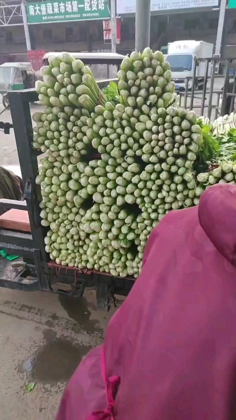 芹菜，大量有货，需要的老板欢迎电联，质量保证，大量供应