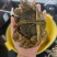 江苏河蟹，大闸蟹火爆上市，兴化蟹塘直发，全国发货！