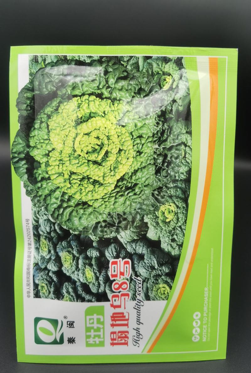 黄心乌塌菜种子耐寒黄心菜种籽菊花心菜籽种易种黄金乌蔬菜种