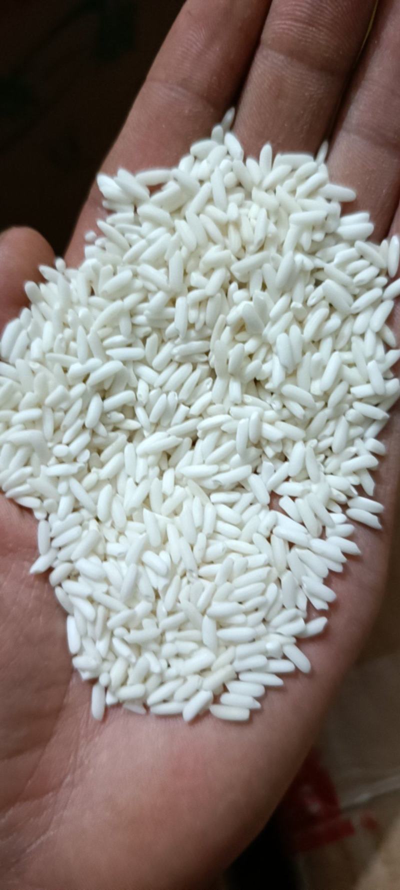 长糯米粘度好大粒糯米质量好价格美丽量大从优