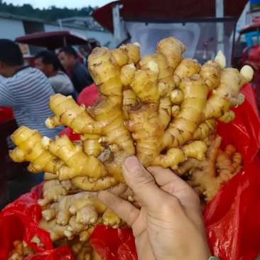 生姜