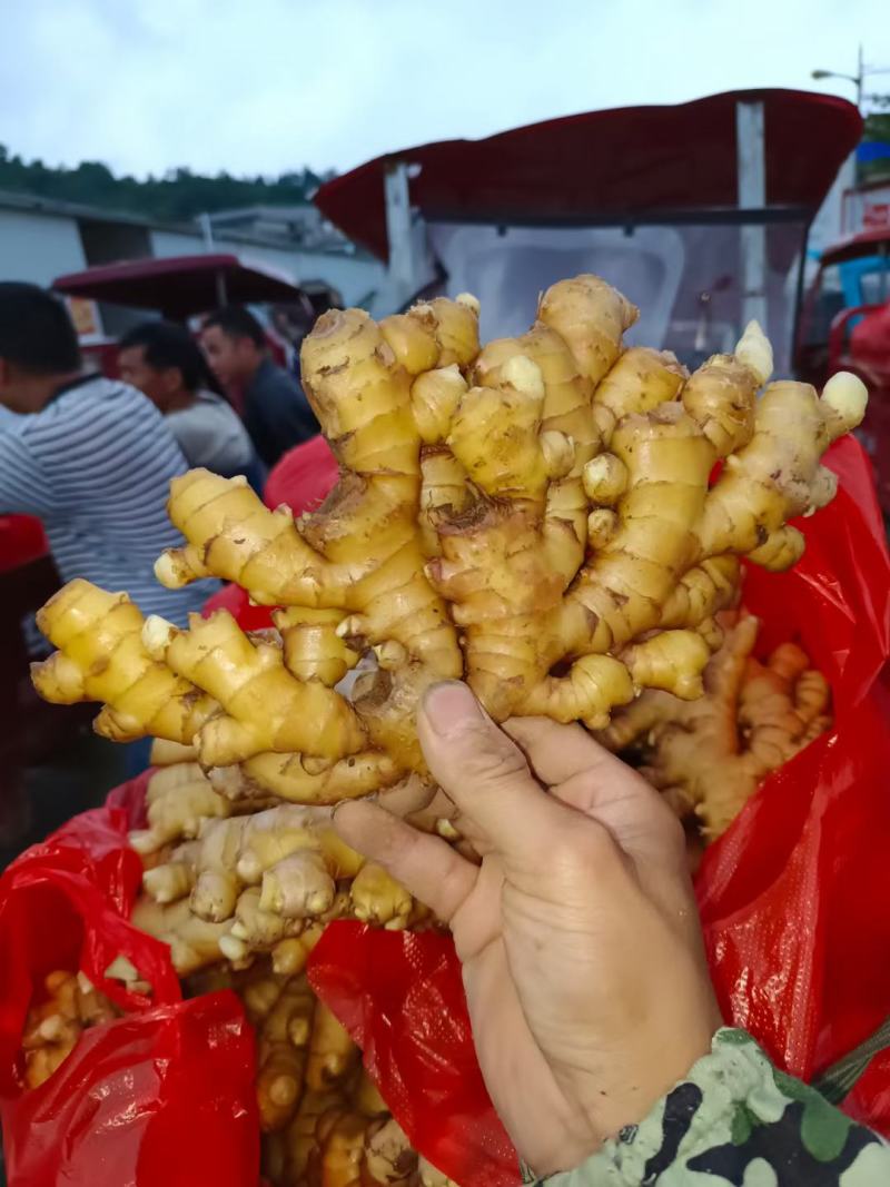生姜