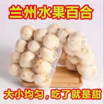 兰州百合新鲜甜百合可以生吃新鲜蔬菜真空袋装250克/袋