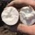 精品冰糖密薯哈密大量上市基地直供各大市场，超市，电商选购