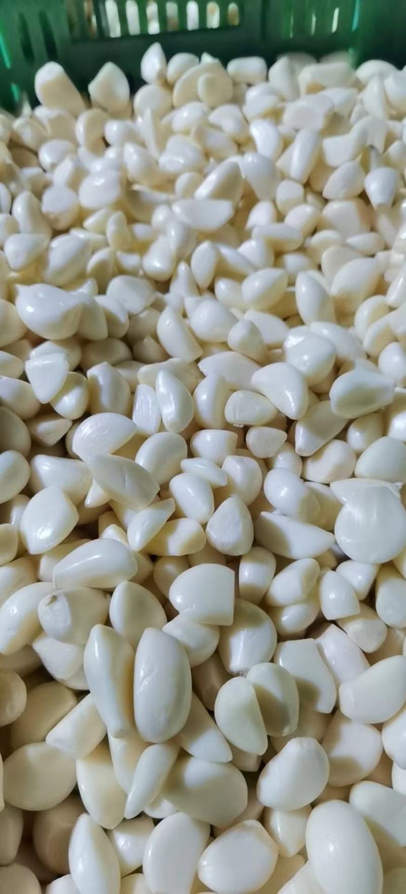 蒜米直供全国发货。批发价多大斤数都有。数量大