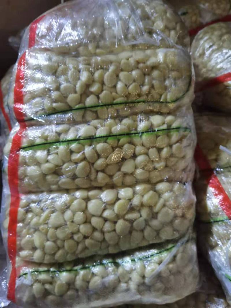 蒜米直供全国发货。批发价多大斤数都有。数量大