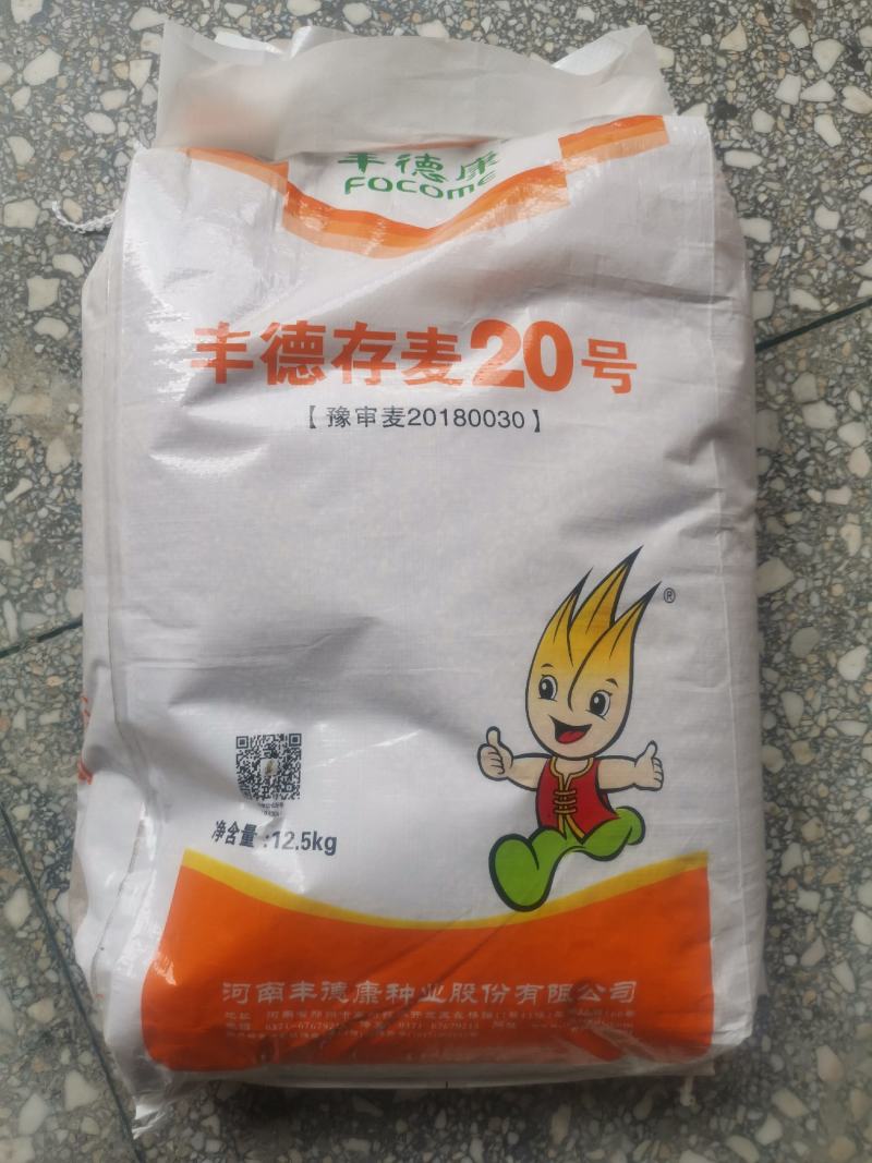 存麦20高产小麦种子直供矮秆大穗抗病抗倒耐冻耐旱耐盐碱