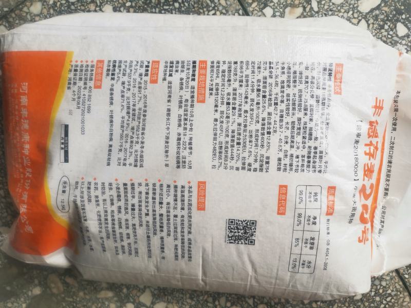 存麦20高产小麦种子直供矮秆大穗抗病抗倒耐冻耐旱耐盐碱