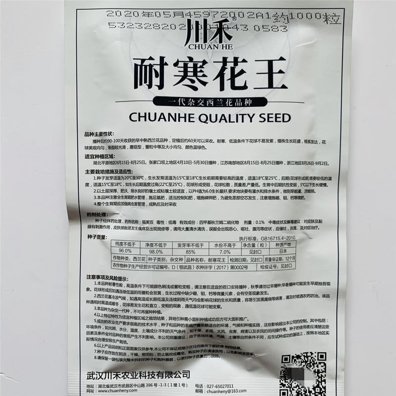 川禾耐寒花西兰花种子，2000粒，耐寒低温花球不发紫