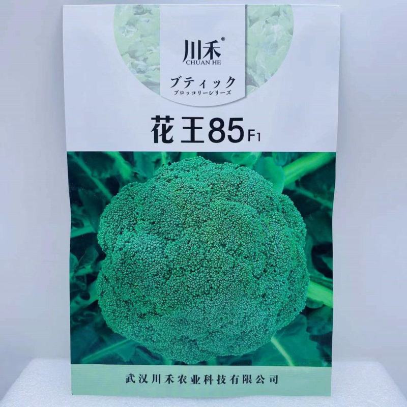 川禾耐寒花西兰花种子，2000粒，耐寒低温花球不发紫