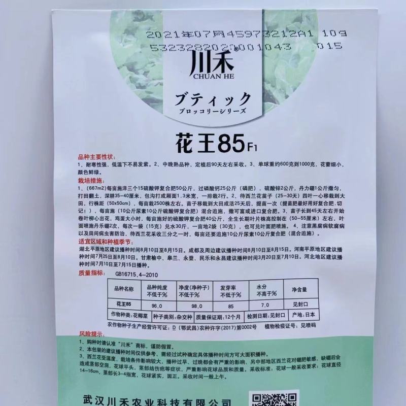 川禾耐寒花西兰花种子，2000粒，耐寒低温花球不发紫