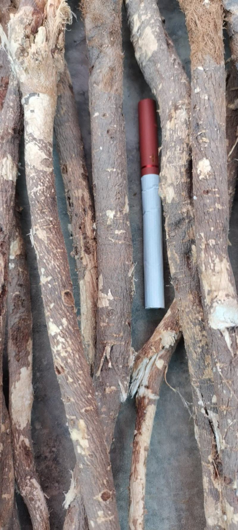 红芪鲜货干货去头去尾多年生深山采挖产地供货